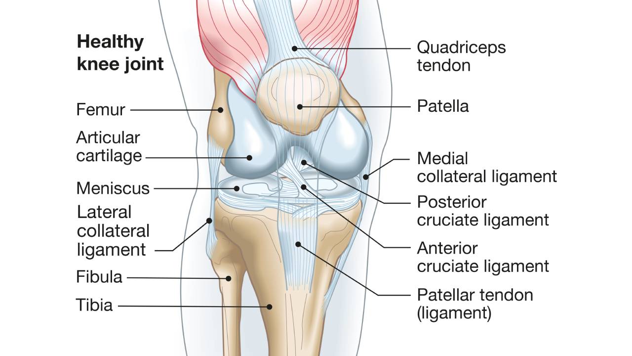 Knee Pain